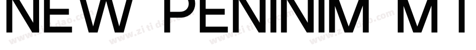 New Peninim MT regul字体转换
